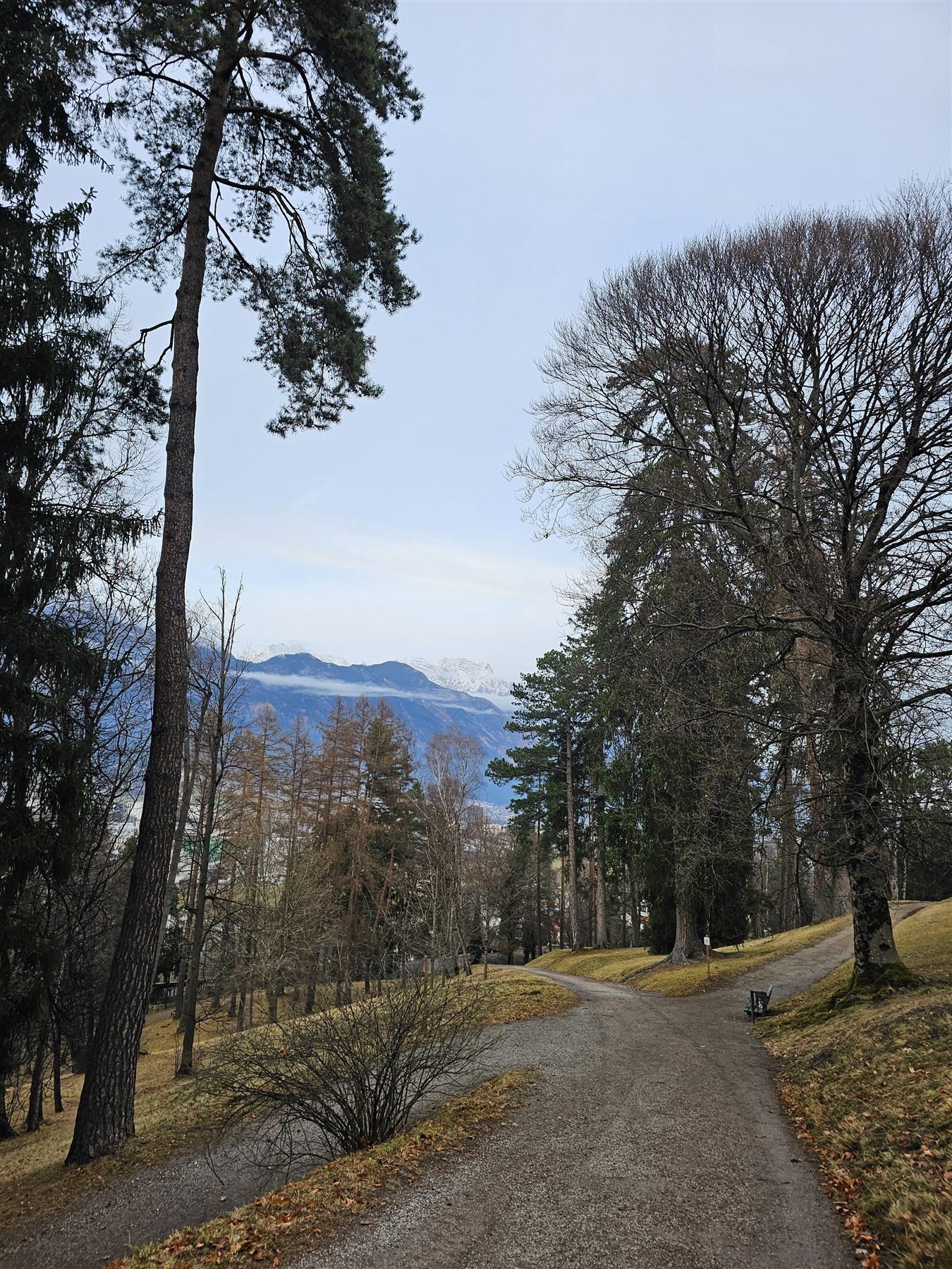 A gravel path forking through the grounds of Ambras Castle, with snow-capped mountains in the distance