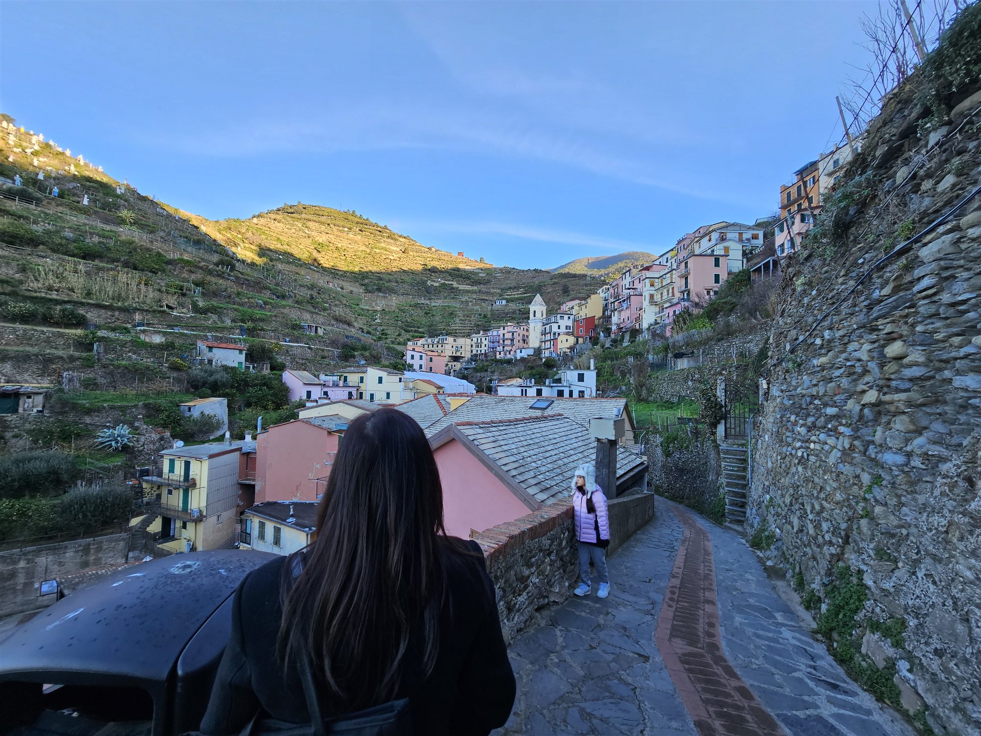 Manarola's upper village, terraced vineyards and a bell tower above the houses