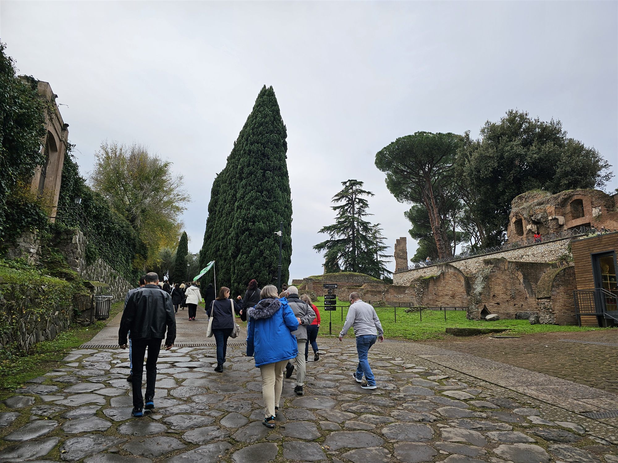 Visitors walking the cobbled approach toward Palatine Hill, tall cypresses and umbrella pines along the way