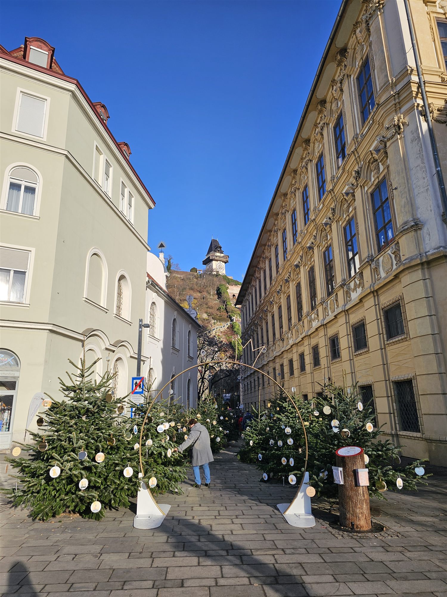 A street lined with Christmas trees in Graz's old town, the Uhrturm visible on the hill behind
