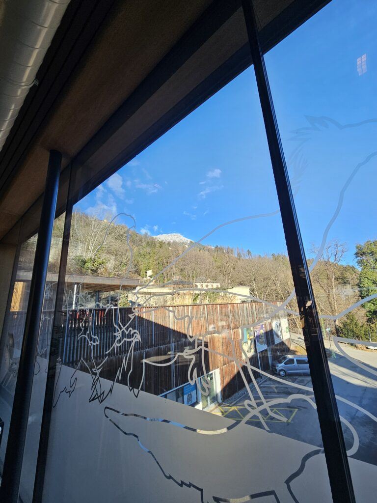 A wolf etched into the restaurant window at Alpenzoo, snowy mountains visible through the glass