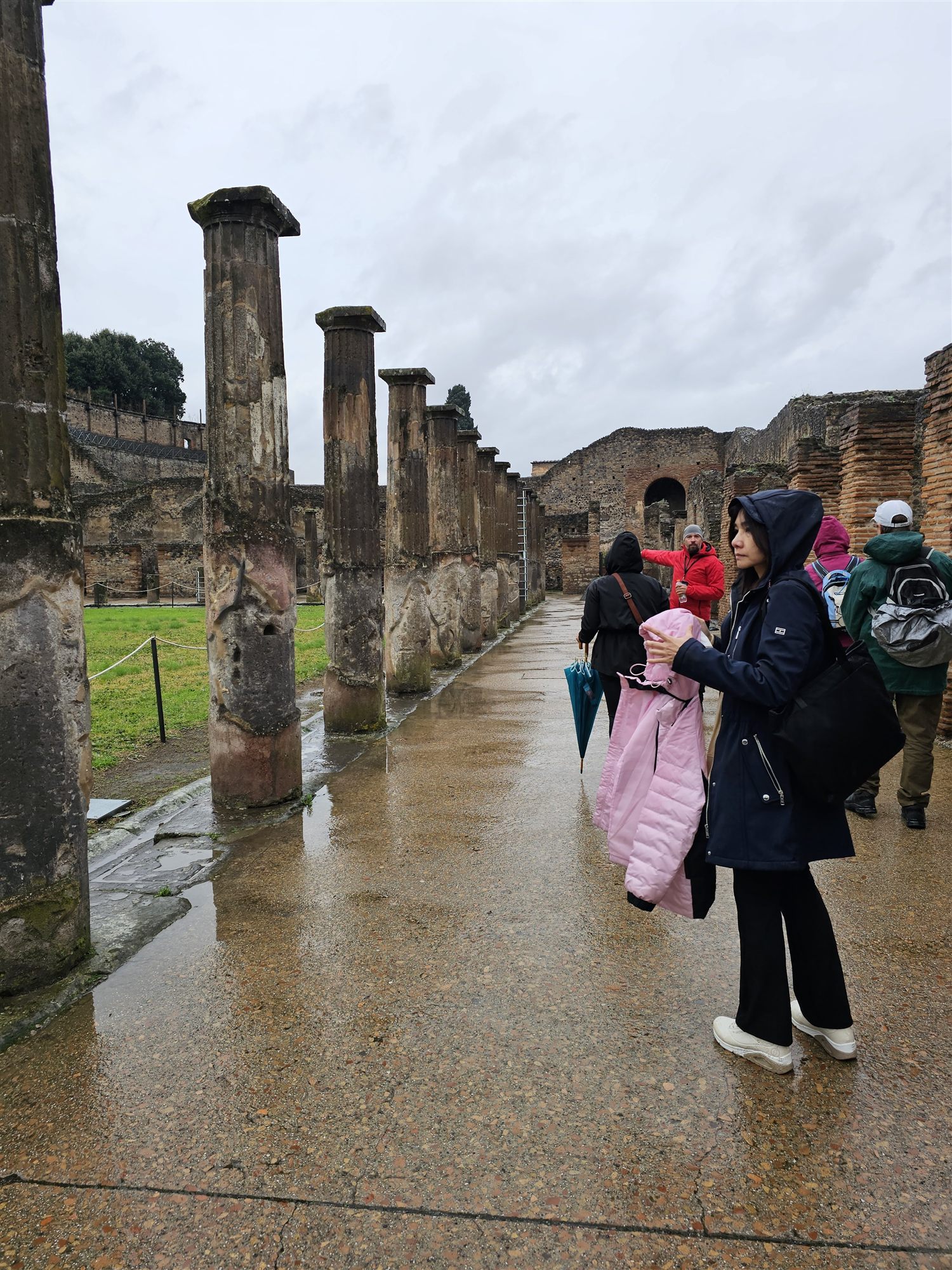 A row of tall Doric columns along the edge of the Pompeii Forum, with a grass lawn beside them