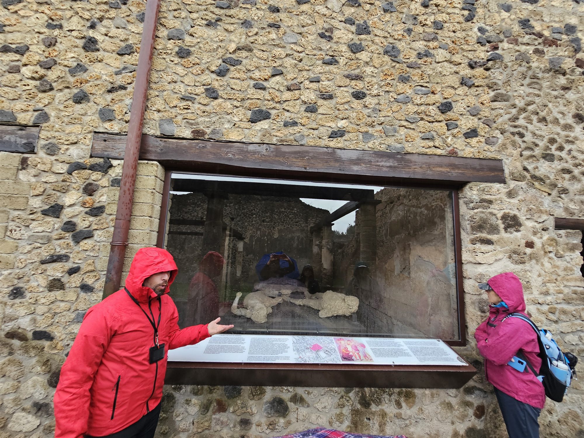 A guide in a red jacket gesturing at a glass case holding plaster casts of Pompeii victims, with an information panel below