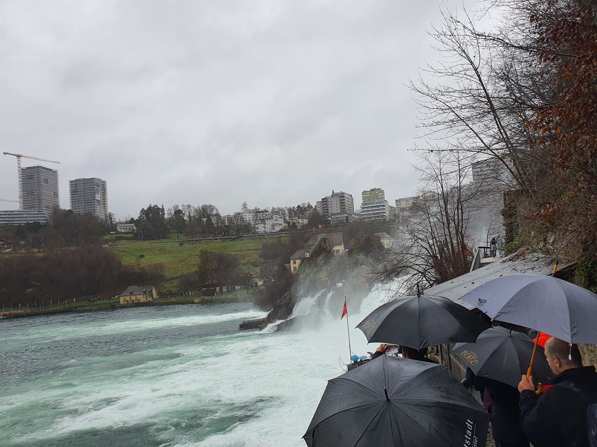 Rhine Falls in the rain, viewed from the Schaffhausen side