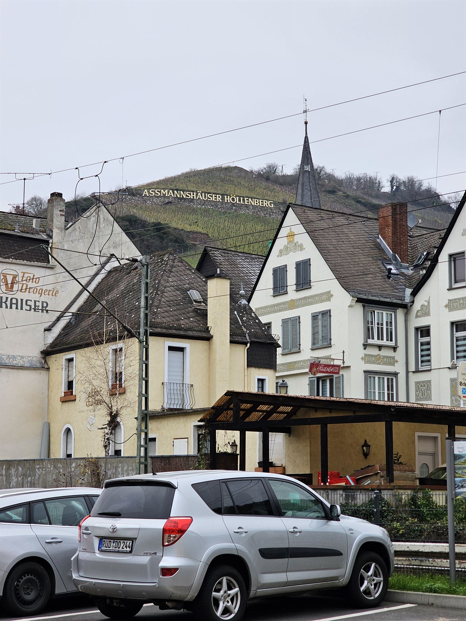 The Assmannshäuser Höllenberg vineyard rising above the village rooftops
