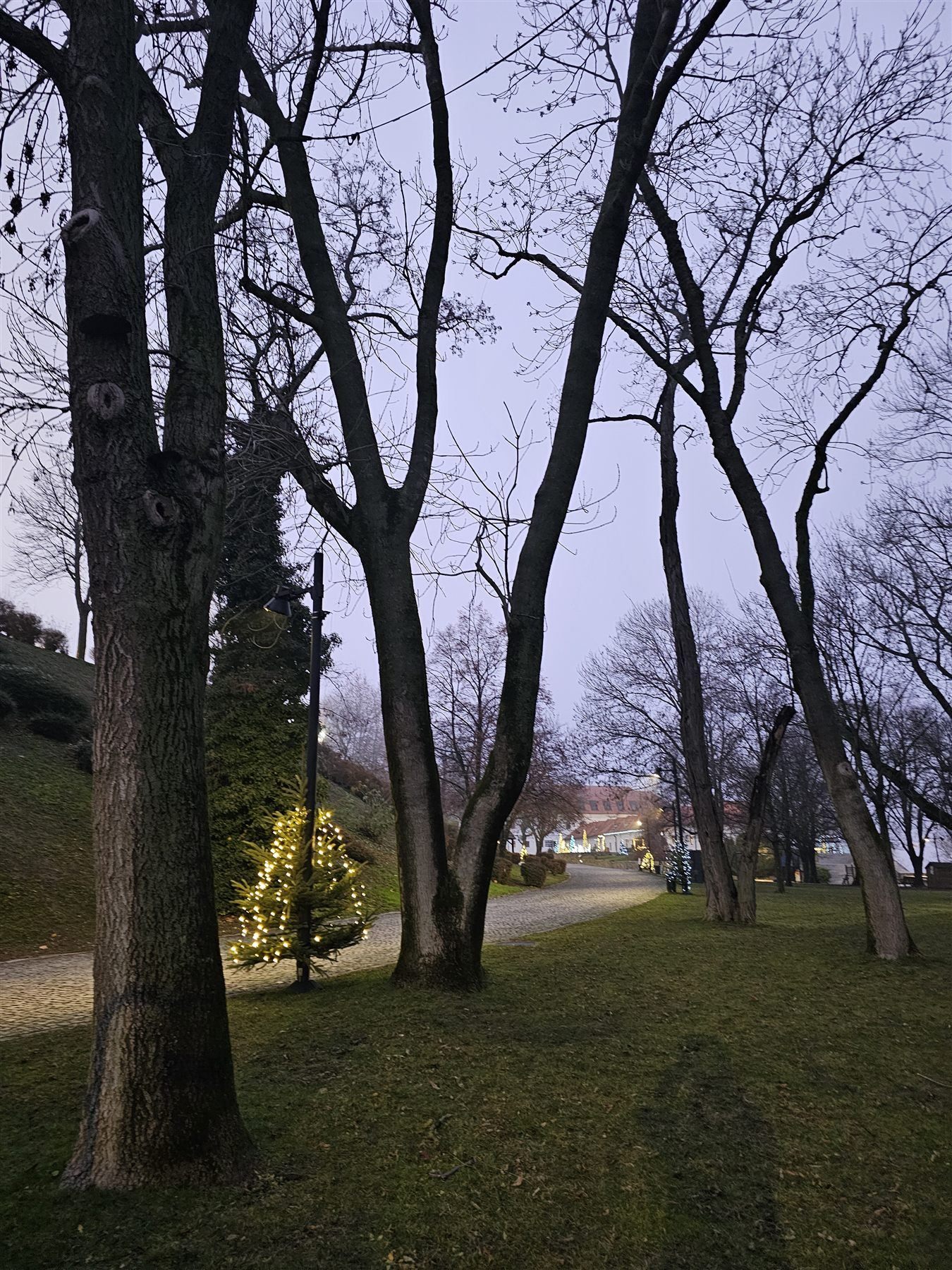 A quiet twilight path through Bratislava Castle gardens with a lit Christmas tree