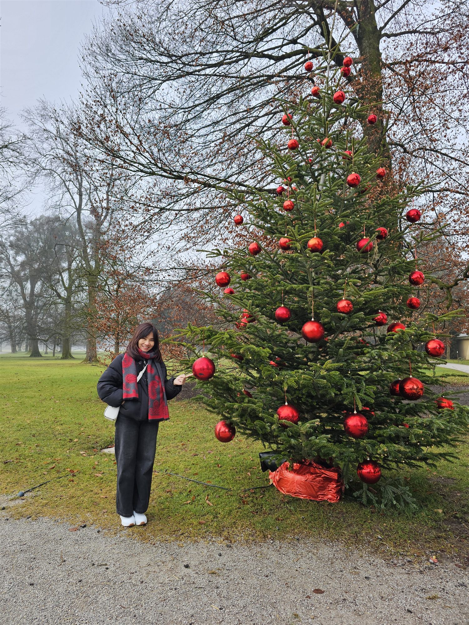 Decorated Christmas tree with red baubles in a foggy Salzburg park