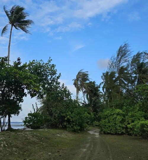 The Residence Bintan