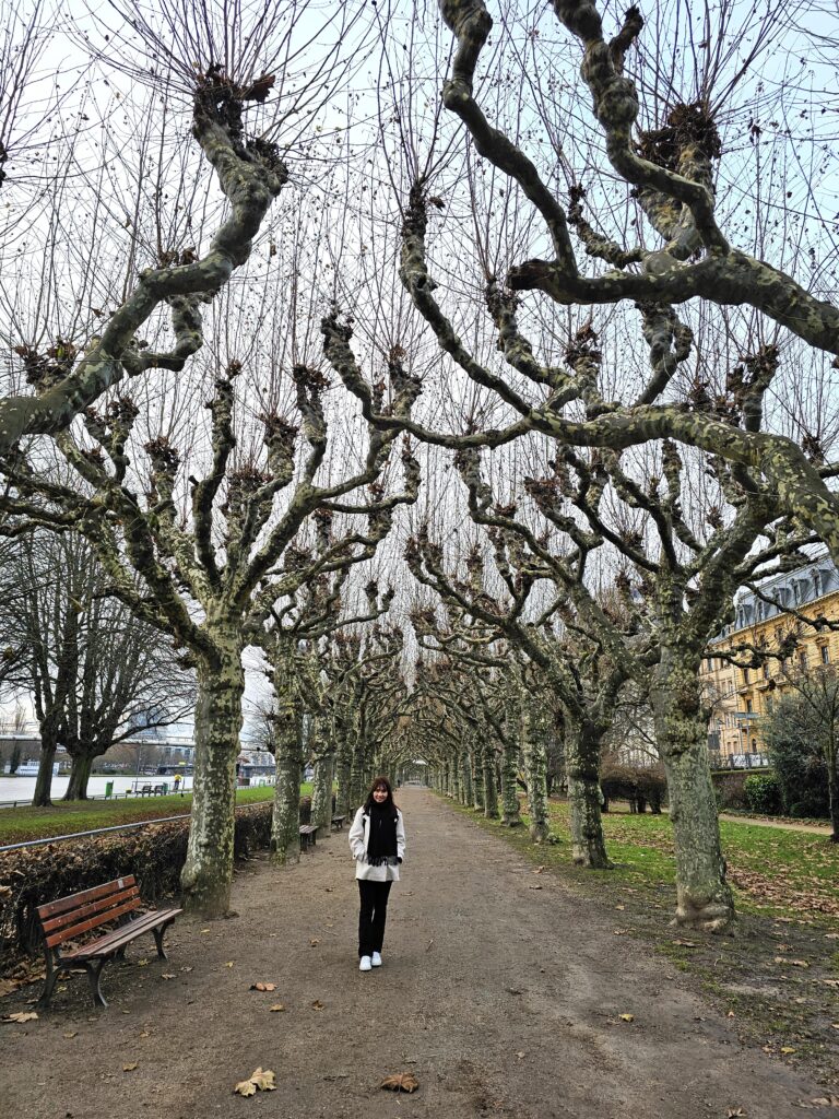 frankfurt am main, germany2