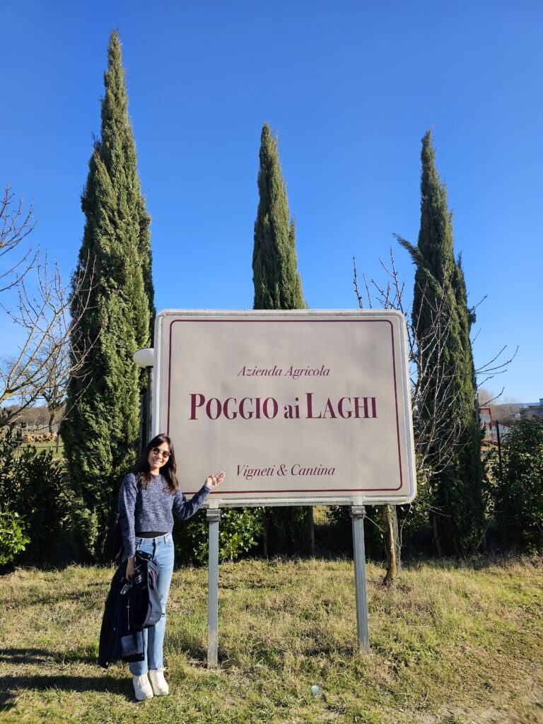 poggio ai laghi