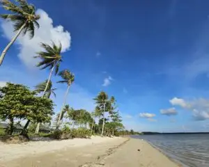 indonesia bintan resindent