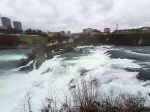 rhine falls main